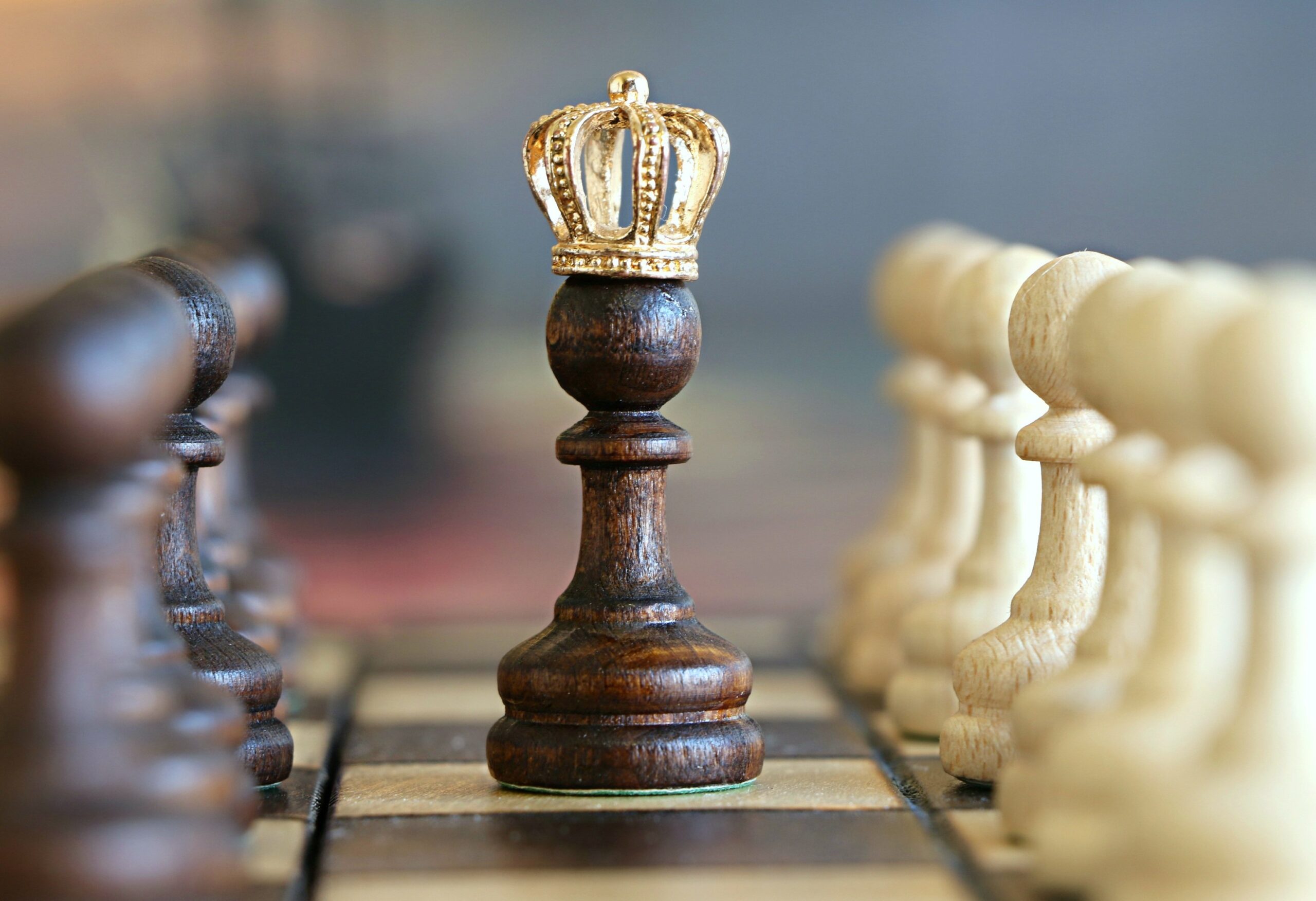 Read more about the article The Importance of William the Conqueror’s Follow-up Actions